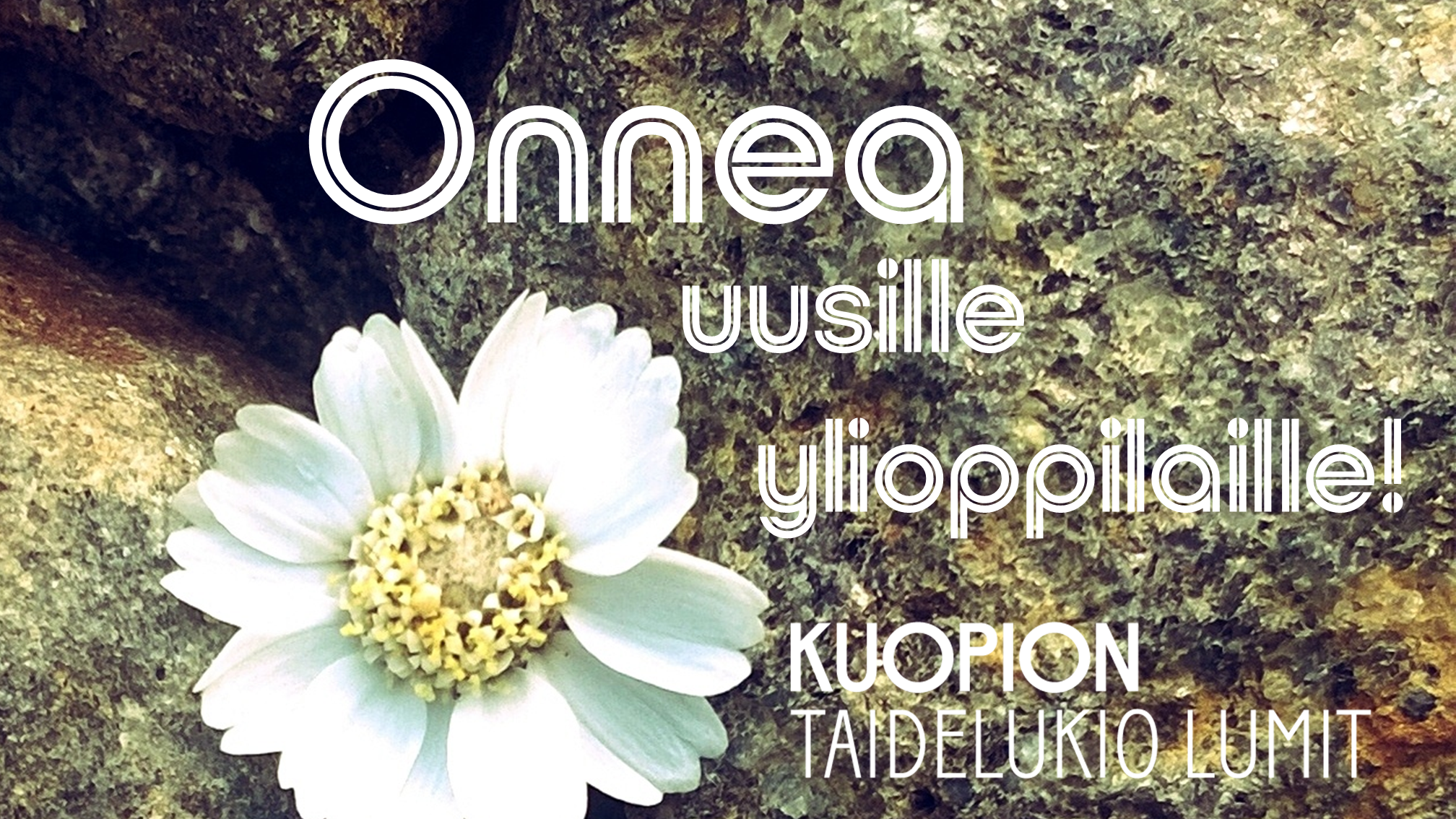 Onnea syksyn 2024 ylioppilaille!